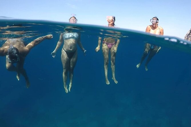 Kayak Safari with Dolphin and Turtle Watching in Guaza - Chances of Seeing Dolphins and Turtles: How to Think About Luck Without Getting Disappointed