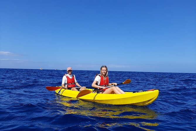 Kayak Safari with Dolphin and Turtle Watching in Guaza - Paddling the Teno Rasca Marine Strip: How the Dolphin and Turtle Hunt Actually Works