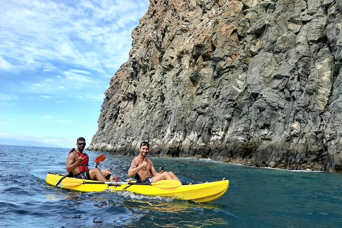 Kayak with Dolphin & Turtle Watching Private Tour - Paddling, Snorkeling, And Fitness: What Moderate Means Here