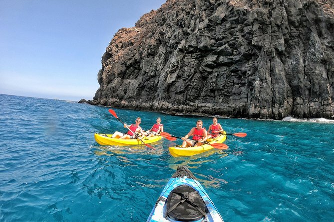 Kayak with Dolphin & Turtle Watching Private Tour - What It Feels Like On A Private Tour: Learning With Your Own Group