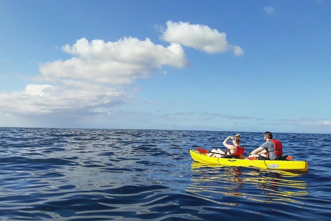 Kayak with Dolphin & Turtle Watching Private Tour - Who Should Book This Tour, And Who Might Want Another Option
