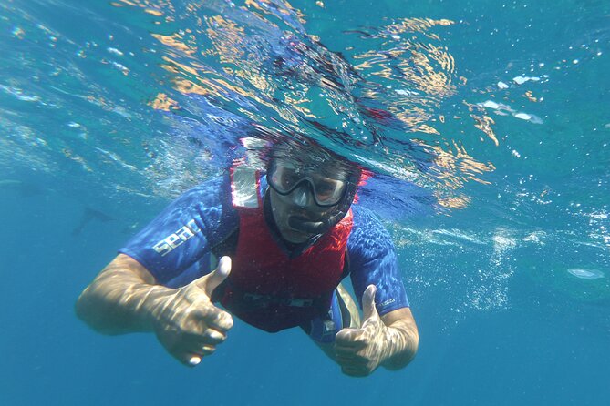 Kayaking + snorkeling with turtles - Equipment and comfort: included snorkeling gear, but watch the goggles