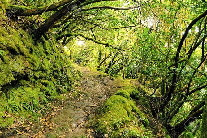 La Gomera Day Trip from Tenerife - Roque de Agando: the iconic rock and the witches’ legend