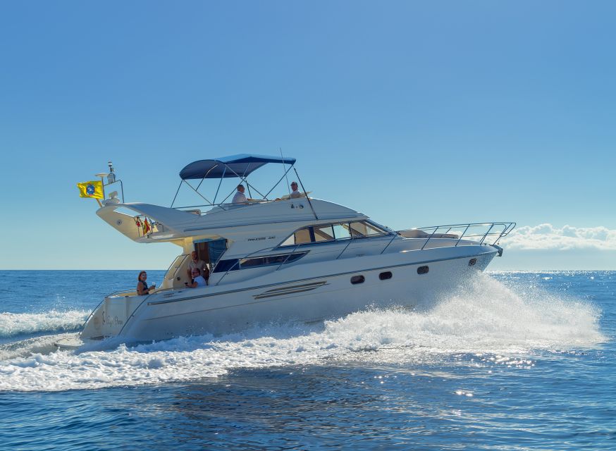 Las Galletas: Private Luxury Yacht Cruise with Lunch - South-coast cruising with mountains views, and why the timing matters