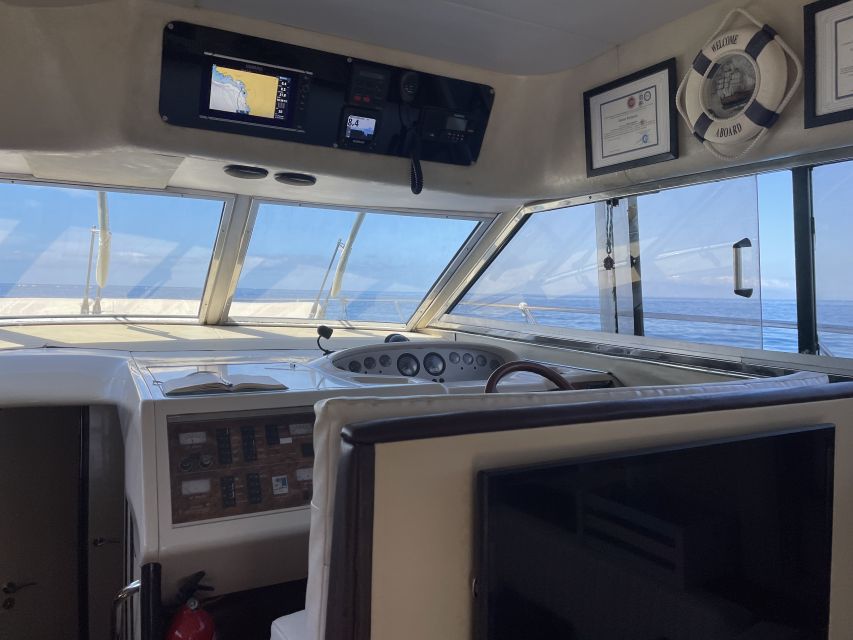 Las Galletas: Private Luxury Yacht Cruise with Lunch - Whale and dolphin spotting, done the practical way