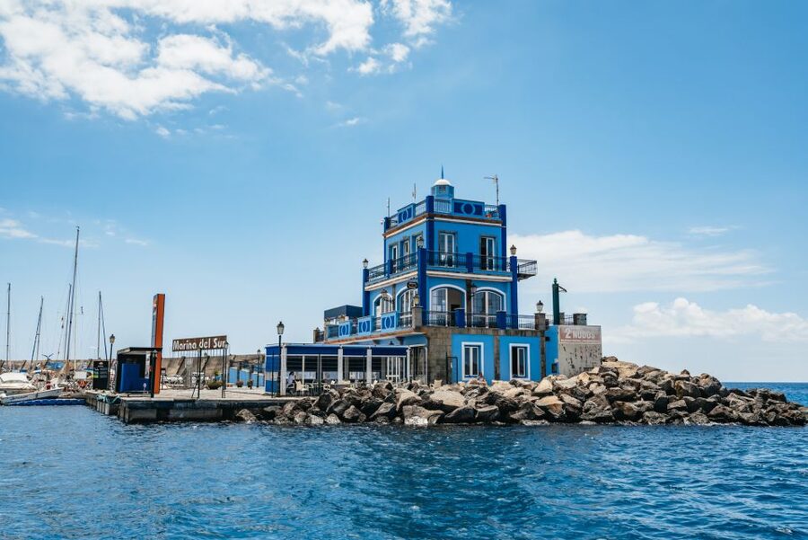Las Galletas: Whale & Dolphin Tour with Local Skipper - Who This Tour Is Best For