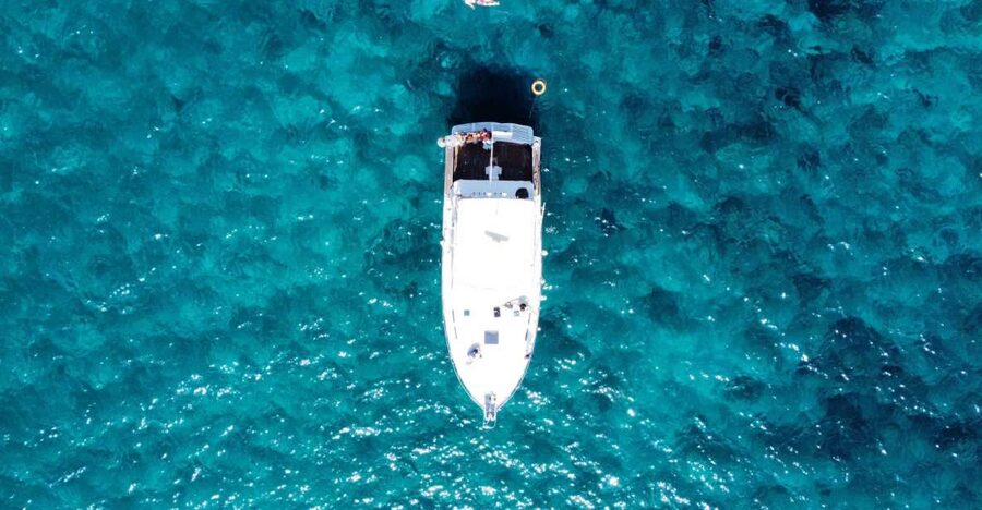 Las Galletas: Whale & Dolphin Tour with Local Skipper - The Swim and Snorkel Stop, Where You’ll Actually Feel the Water