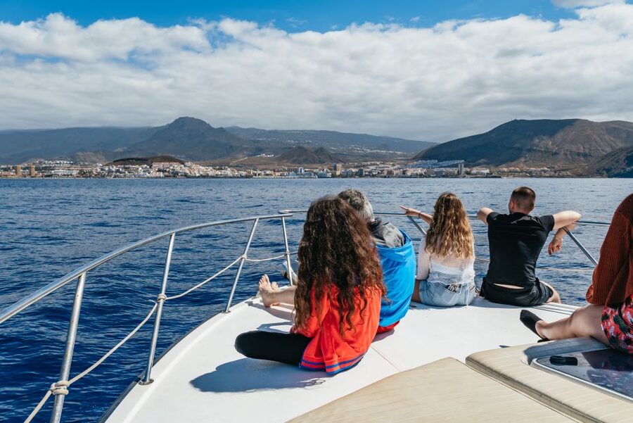 Las Galletas: Whale & Dolphin Tour with Local Skipper - Lunch on Board: Local Food With Real Value