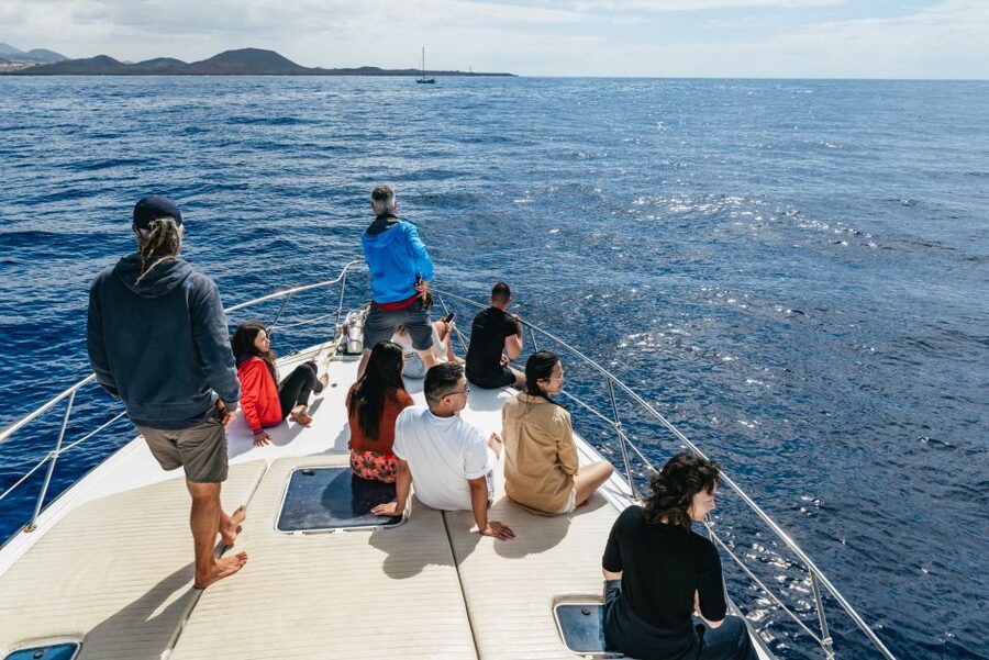 Las Galletas: Whale & Dolphin Tour with Local Skipper - Price and Value: What $69 Buys You