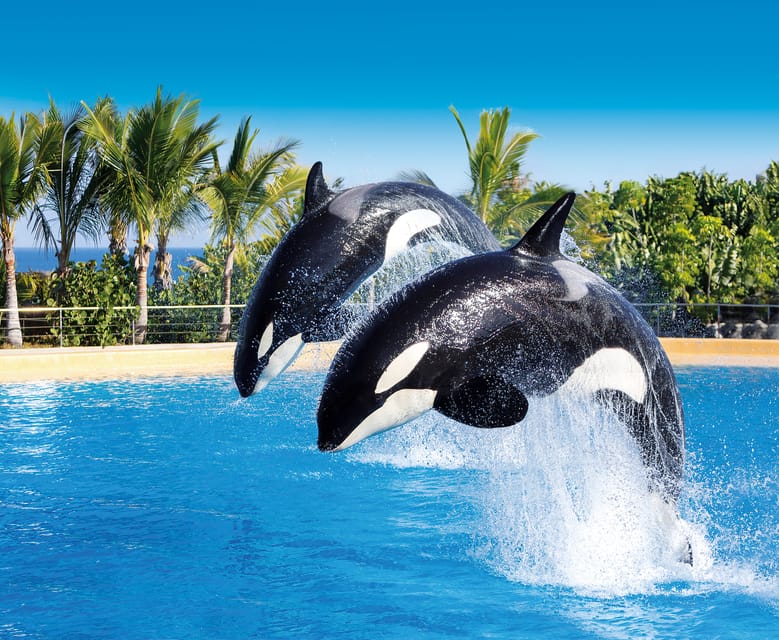 Loro Parque and Siam Park Combined Admission Tickets - Key Points Before You Go