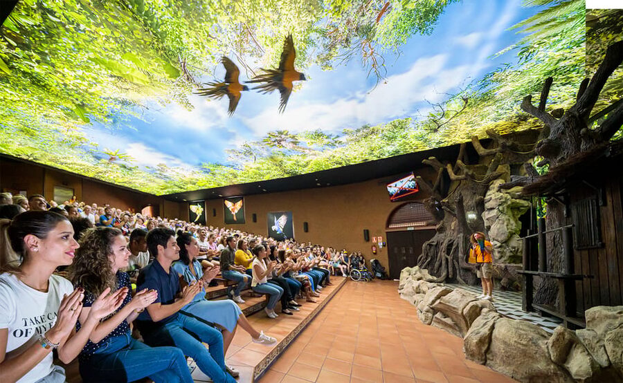 Loro Parque and Siam Park Combined Admission Tickets - A Tenerife Must-Do Combo, With Real Flexibility