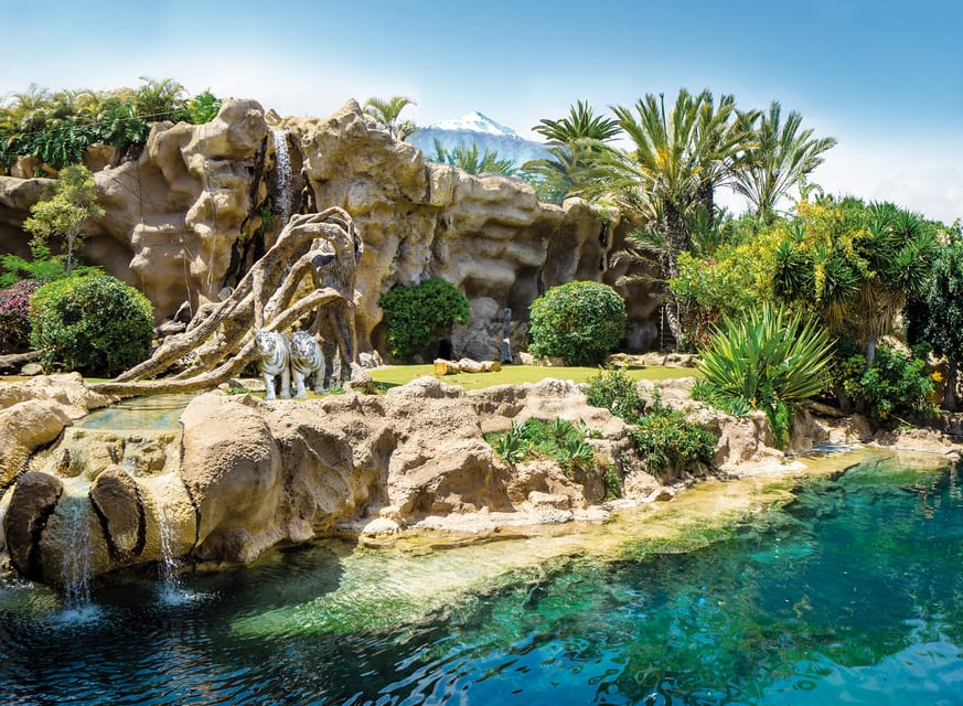 Loro Parque and Siam Park Combined Admission Tickets - Switching Sides of Tenerife: Getting to Siam Park in Costa Adeje
