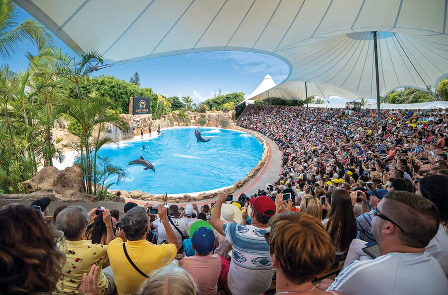 Loro Parque and Siam Park Combined Admission Tickets - Siam Park: The Water Kingdom That’s All About Big Slides