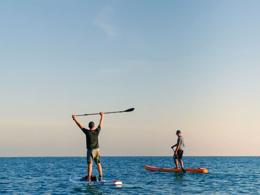 Los Cristianos : 1 Hour of Paddle surf Rental - What the briefing actually does for you on the water