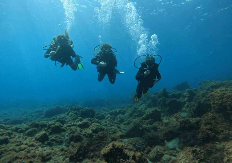 Los Cristianos: Basic Diver Course - Los Cristianos session, from safety briefing to real underwater time
