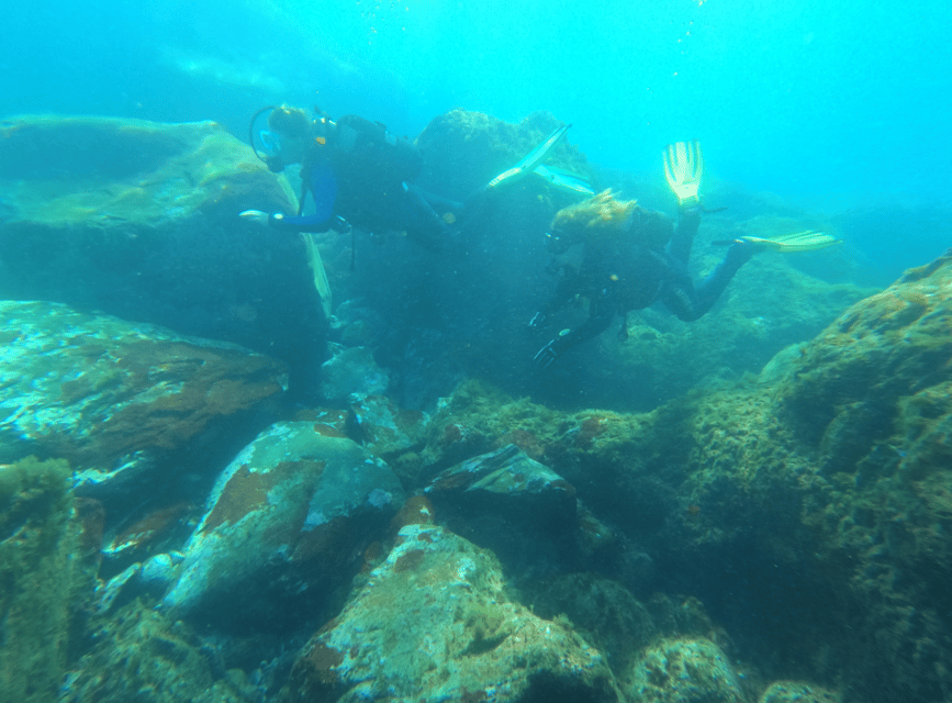 Los Cristianos: Basic Diver Course - SSI certification, insurance, and why they matter for you