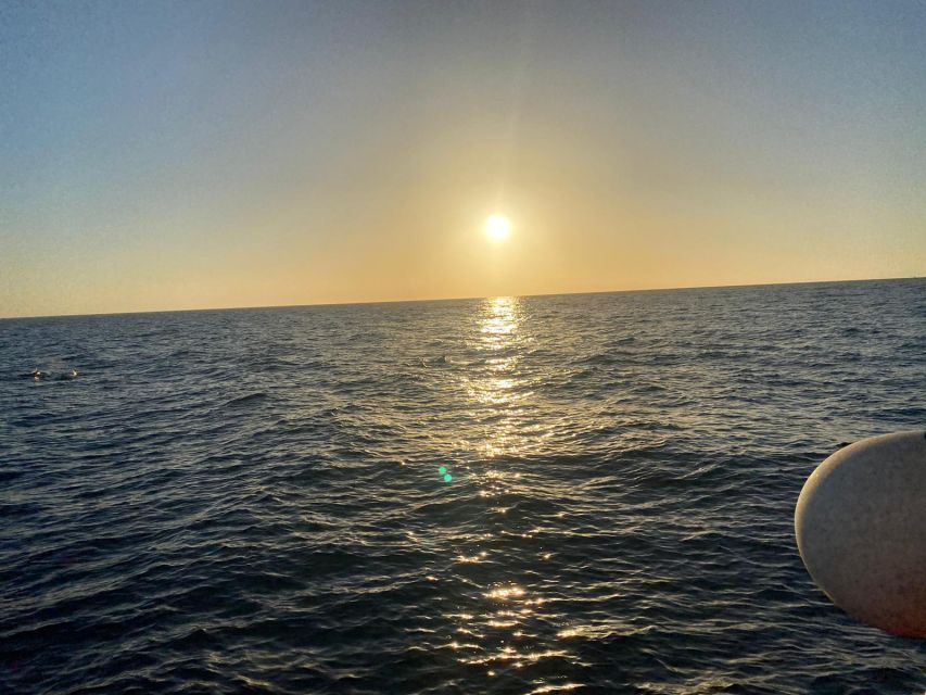 Los Cristianos: Eco Yacht Whale Watching Tour at Sunset - FAQ