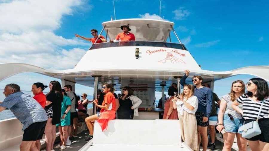 Los Cristianos: Eco Yacht Whale Watching Tour at Sunset - Why Sunset Cruising From Los Cristianos Works So Well