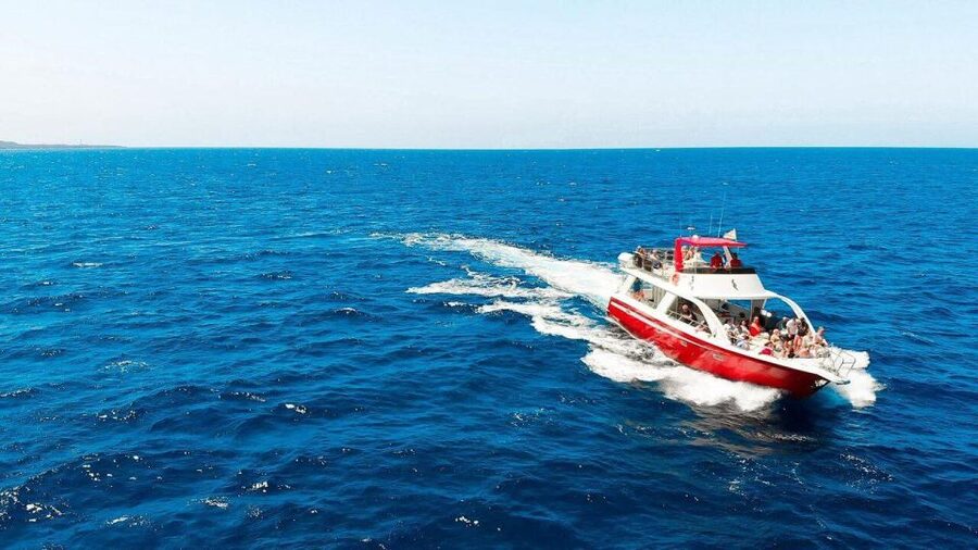 Los Cristianos: Eco Yacht Whale Watching Tour at Sunset - How the 1.5 Hours Unfold at Sea, From Cetaceans to Teide