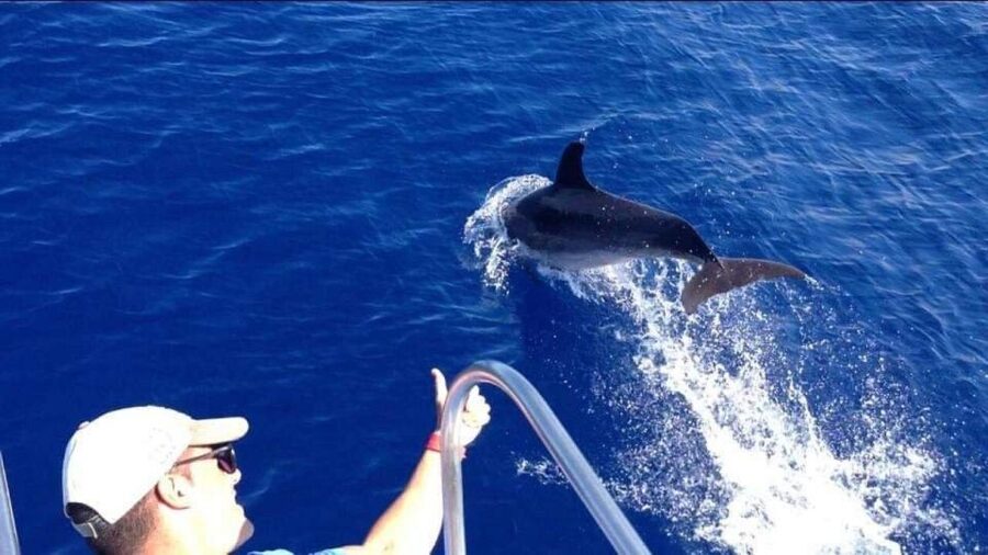 Los Cristianos: Eco Yacht Whale Watching Tour at Sunset - Comfort, Motion Sickness Tips, and Who This Tour Suits