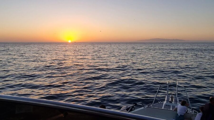 Los Cristianos: Eco Yacht Whale Watching Tour at Sunset - Price and Value at Around $17 Plus