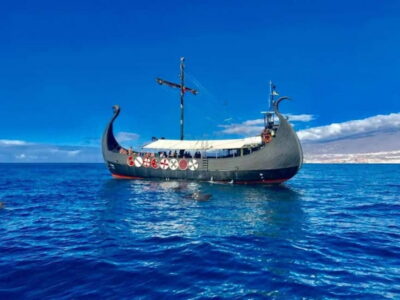 Whale Watching Cruise w/Swim Stop & Drinks
