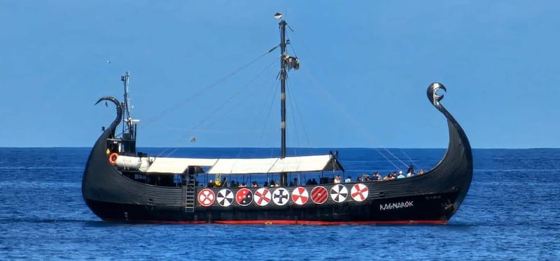 Los Cristianos: Whale Watching Cruise w/Swim Stop & Drinks - Price, Value, and What You Still Might Pay For