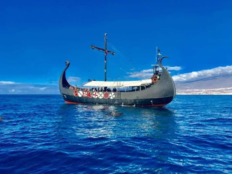 Los Cristianos: Whale Watching Cruise w/Swim Stop & Drinks - Los Cristianos Departure: Where the Fun Starts