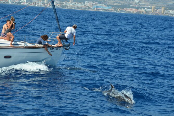 Los Gigantes Clifs Small-Group Sail Tour with Lunch - Small-Group Sailing With English Support