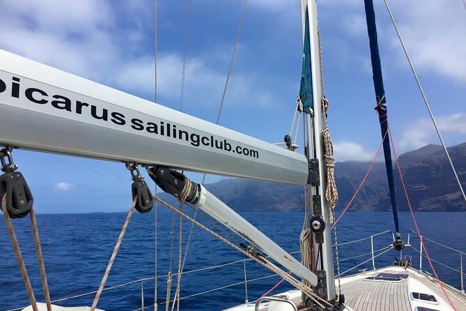 Los Gigantes Clifs Small-Group Sail Tour with Lunch - Price and Value: What $89.87 Really Buys You
