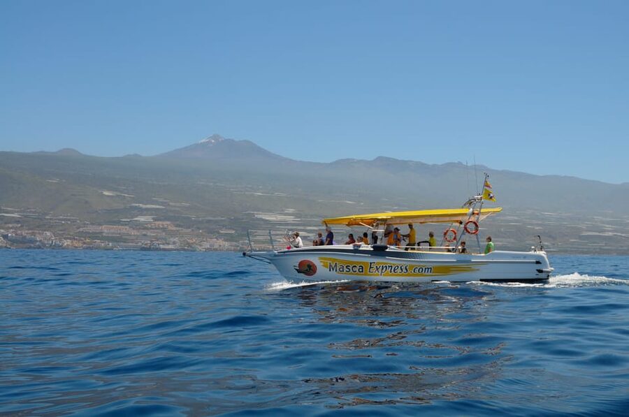 Los Gigantes: Dolphin & Whale Watching Cruise with Swim Stop - Why This 2-Hour Cruise Feels Better Than a Full-Day Tour