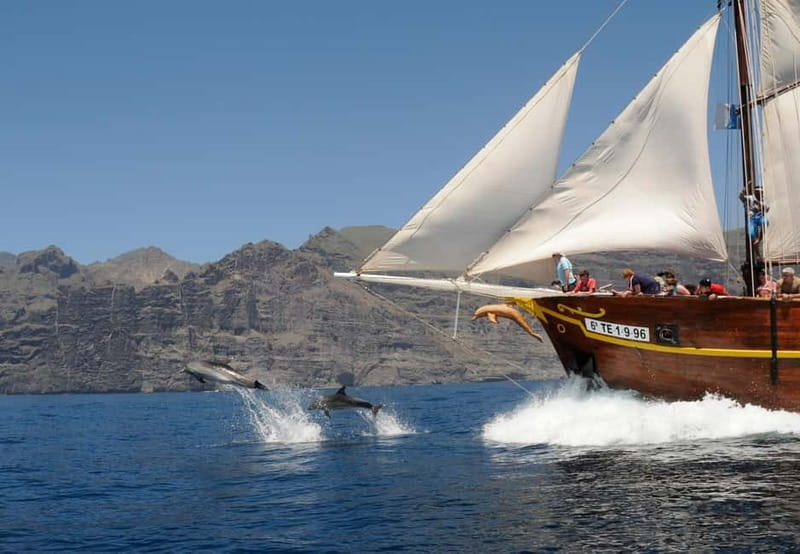 Los Gigantes: Dolphin & Whale Watching Tour on a Pirate Boat - The Swim Stop: Stairs, Trapeze Jumps, and Staying Warm