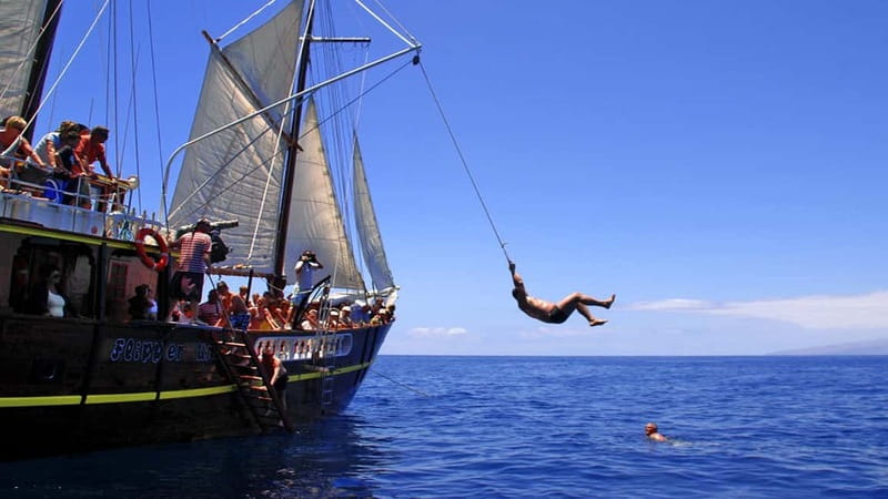 Los Gigantes: Dolphin & Whale Watching Tour on a Pirate Boat - Should You Book This Los Gigantes Dolphin and Whale Watching on a Pirate Boat?