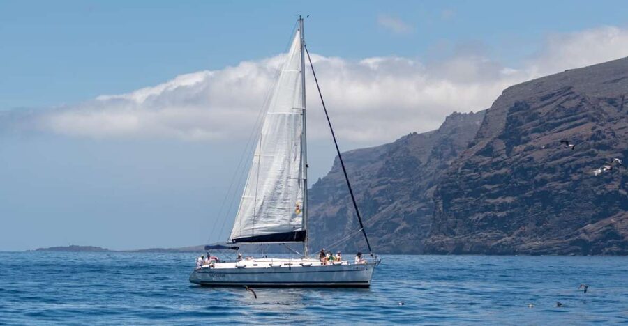 Los Gigantes: Sailing Excursion with Swimming, Drink & Tapas - Whale and dolphin spotting: what to expect, and how the crew helps