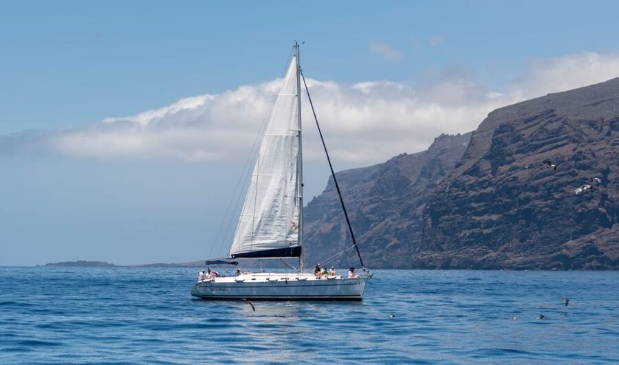 Los Gigantes: Sailing Excursion with Swimming, Drink & Tapas - From Muelle Deportivo Dock 1 to red-cliff coves on the Sangría