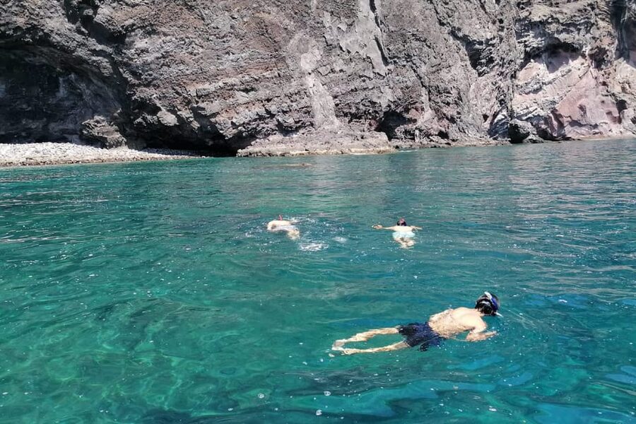 Los Gigantes to Teno: Boat trip with snorkeling & drinks - Guide and language: how to get the most out of Nico’s coaching