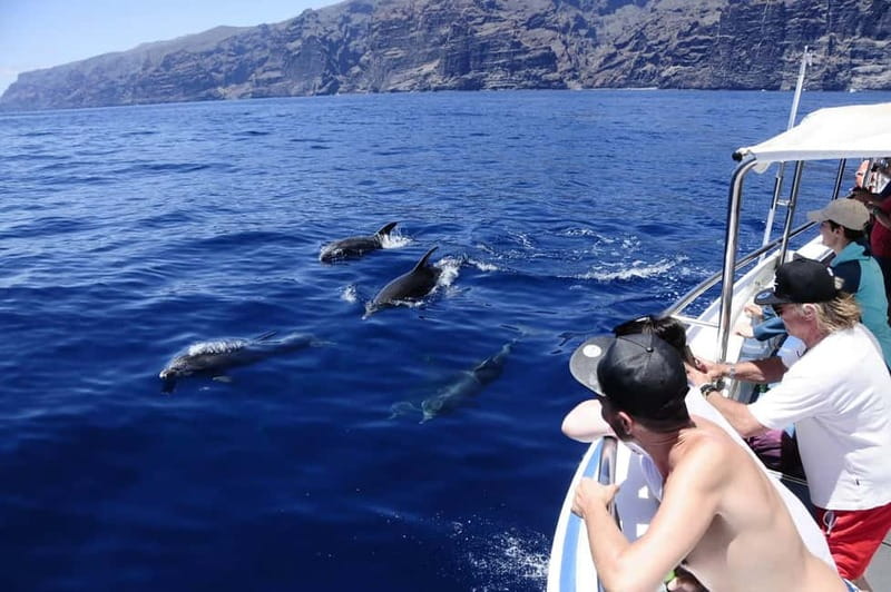 Los Gigantes: Whale or Dolphin Watching Tour and Swim in Masca - Quick hits before you go