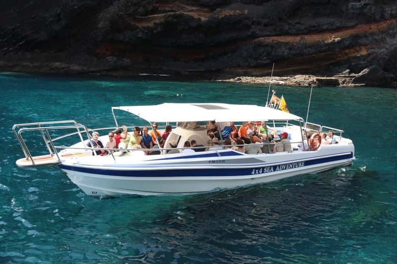 Los Gigantes: Whale or Dolphin Watching Tour and Swim in Masca - Sailing up to Los Gigantes cliffs, up close and personal