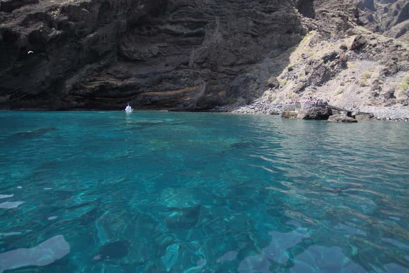 Los Gigantes: Whale or Dolphin Watching Tour and Swim in Masca - What to bring so the day feels easy
