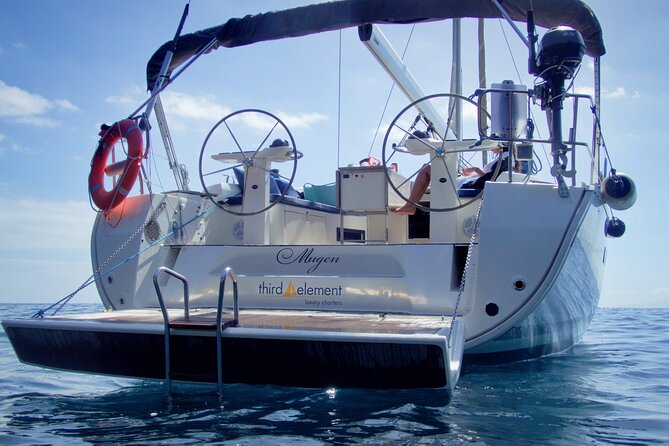 Los Gigantes Whale Watching Charter by Sail Boat - Snorkeling by the Cliffs: The Part You Should Prepare For