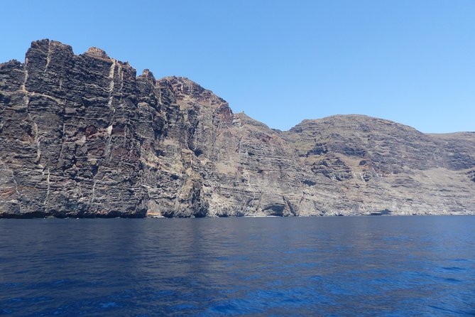 Los Gigantes Whale Watching Charter by Sail Boat - Food and Drinks: Strong Value for a 3-Hour Charter