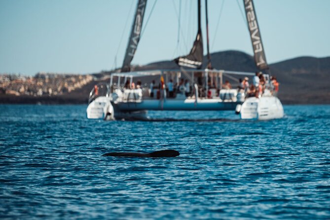 Luxury Catamaran Cruise with Brunch and Unlimited Drinks - Swimming time and what makes it worth it