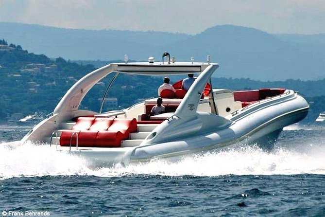 Luxury Opera 60 Whale & Dolphin Watching Experience - Key things to know before you go