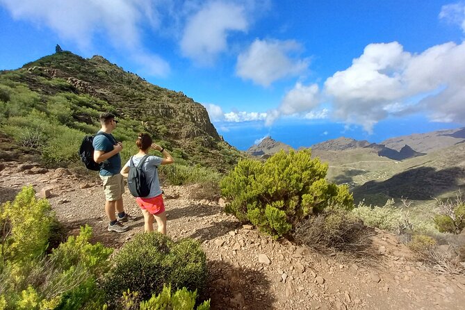 Masca from above - Andy’s commentary: plants, rocks, and real-world notes on Tenerife