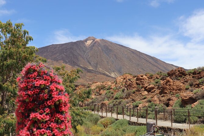 Masca - Garachico - Icod - Teide National Park - Key highlights you’ll care about