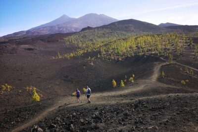 Masca – Garachico – Icod – Teide National Park