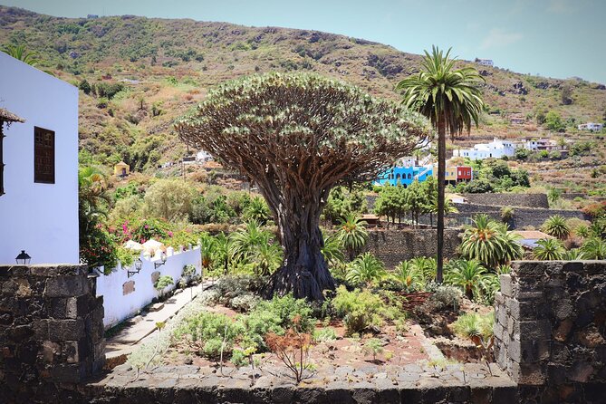 Masca - Garachico - Icod - Teide National Park - Value: Why $102.12 Can Be a Smart Use of Your One Tenerife Day