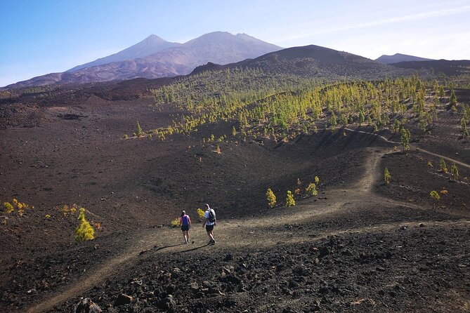 Masca - Garachico - Icod - Teide National Park - Entering Teide National Park: Sámara Crater Walk and Roques de García
