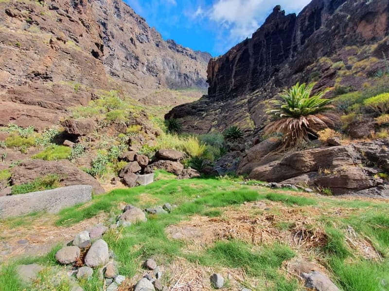 Masca Gorge Guided Hike - Why a local mountain guide makes this worth it
