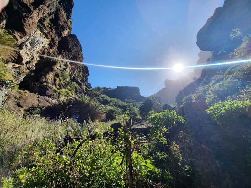 Masca Gorge Guided Hike - Should you book Masca Gorge with Natura Xtreme Tenerife?